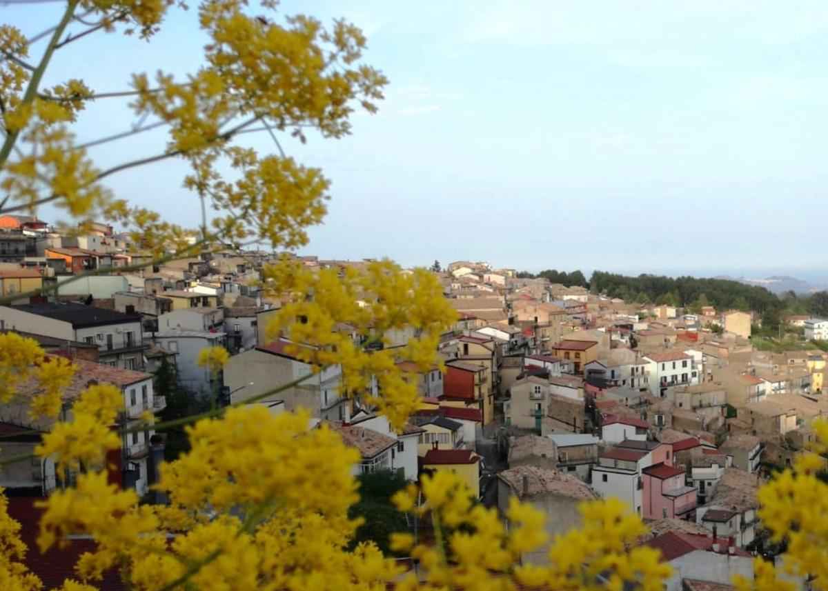 Savelli