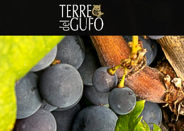 Terre del Gufo: la ricerca della qualità